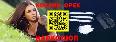 шишки Донской