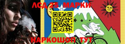 гидропоника Донецк