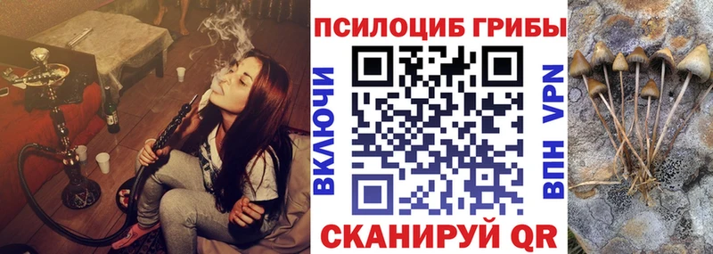Галлюциногенные грибы Psilocybine cubensis  где продают наркотики  Миллерово 
